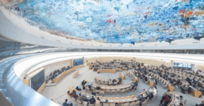 WHA78: Traditional medicine takes centre stage