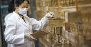 Steering Committee established for second WHO Global Summit on Traditional Medicine